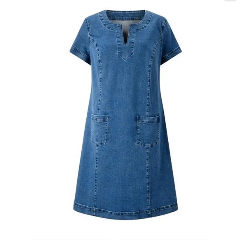Sophie Denim Shift Dress